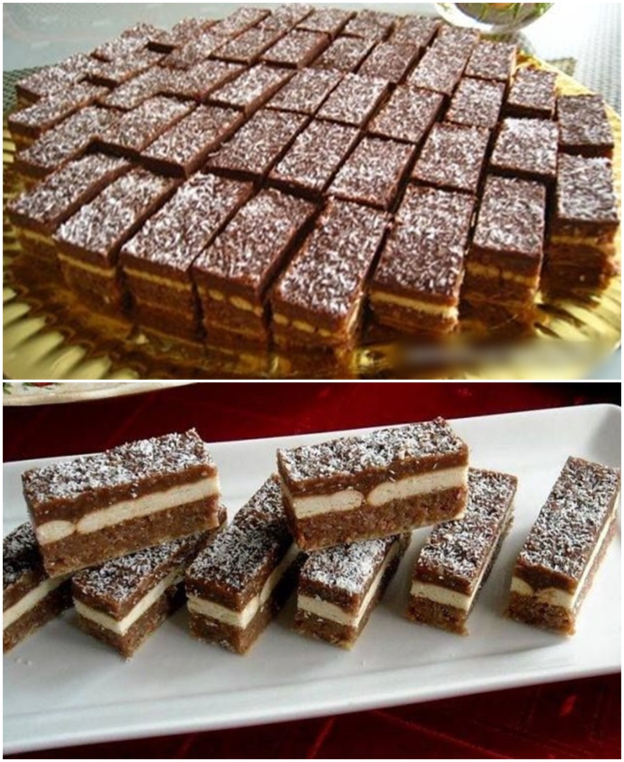 546280251_1371080137912032_9008564951861109503_n